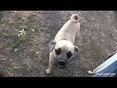 หลุดจากกลุ่มลับ คนเย็ดหมา รีบดูเลยเอาควย7นิ้วเย็ดสดคลิปโป๊มาใหม่แนวเย็ดแปลกๆเห็นแล้วถึงกับซ๊อก